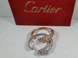 Picture of Cartier Bracelet _SKUCartierbracelet11lyx291261